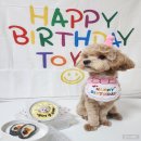 꾸밤꾸밤 이미지