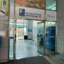 사파동245 이미지