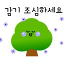 세종환경 이미지