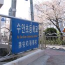 수안초등학교 이미지