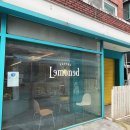 레몬드(Lemoned)