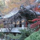 야단법석 이미지