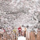 진해구 ⓒ-27 이미지