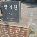 구리둘레길(2코스) | 2025.4.25..경기 구리 둘레길 2코스
