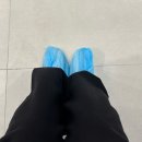 효안과의원 | 대구 초고도근시 라섹 내돈내산 후기 (대구 난초꽃피다의원) - 수술 당일 및 1주일차