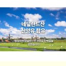 에너자임뉴트리션