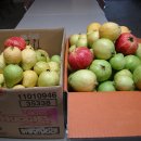 경원농장 이미지