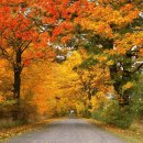 국내에서 만나는 이국적 가을 명소 이미지