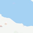 스완흑염소 이미지