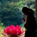 양지할머니 이미지