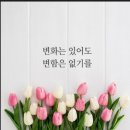 어은돌야영장 이미지