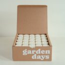 소이가든 이미지