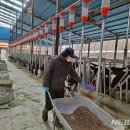 박씨농장 이미지