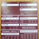 아쉬레헤어 | 안산 애견카페 :) 궁금한건 훈련사에게 직접 물어보자 댕블리 애견카페