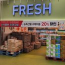 느티나무마트