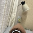 곽경규한의원 이미지