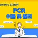 26년 2학년 창의 과학캠프 접수 안내 (작성완료) 이미지
