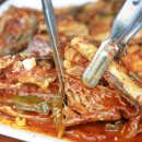 황금코다리 이미지