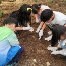 밀양아리솔학교 이미지