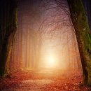 신정골전통뼈해장국 이미지