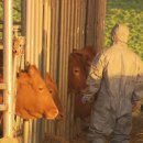 정재농장 이미지