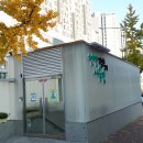 영천동 영천동주민센터 앞 이미지