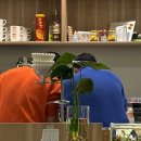 칸트하우스 이미지