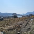 경기도 광주 농지 꼼수와 사촌의 췌장암 재발 이미지