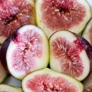 광교중앙 이미지