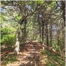 인곡마을회관 | 삼봉산(오도재주차장~오도봉~삼봉산~등구재~창원마을(9k) 26.5.16. 토요일