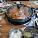 황금산꼼장어