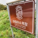 동건 목장 | 제주 아침미소목장 방문후기