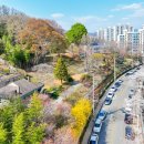 성지순례길 이미지