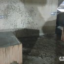 (주) 홍주미트 네이버블로그