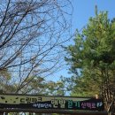 드림파크 | 🌼 가을 햇살과 함께한 계양 아라온 국화축제 &amp; 드림파크 나들이 후기