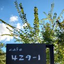 카페429지내리