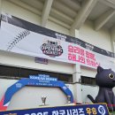 현창크리닝 | 260401 기아타이거즈 vs LG트윈스 / 개막하자마자 폐막하기