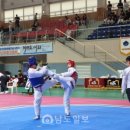 다모임 태권스쿨 이미지