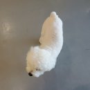광여로L | 경기 광주 곤지암 애견동반 카페 추천 댕댕이천국