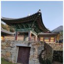 해남땅끝농산 | 해남여행 미황사 달마산 남도오백리역사숲길고흥팔영산악회 여행정보