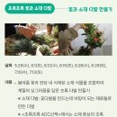 ACC 산책 | 6월 둘째주 일상 | 아시아문화전당 초록초록ACC산책, 민속촌 돼지갈비, 김범수콘서트 광주후기