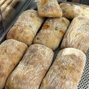 원도안로-5 이미지