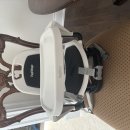 Peg perego booster chair 이미지