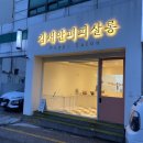퍼피살롱 이미지