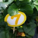 수문농장 이미지