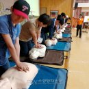 신서초등학교 이미지