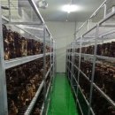 송원농원 이미지