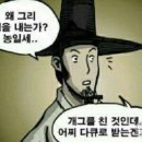 멍멍스토리 이미지