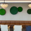 그린발전소 이미지