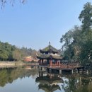 관음노인대학 | 중국 충칭 근교 힐링 여행 추천🪷 대족석각 여행 후기 (다쭈쓰커 大足石刻) – 자유여행 추천코스 &amp; 꿀팁...